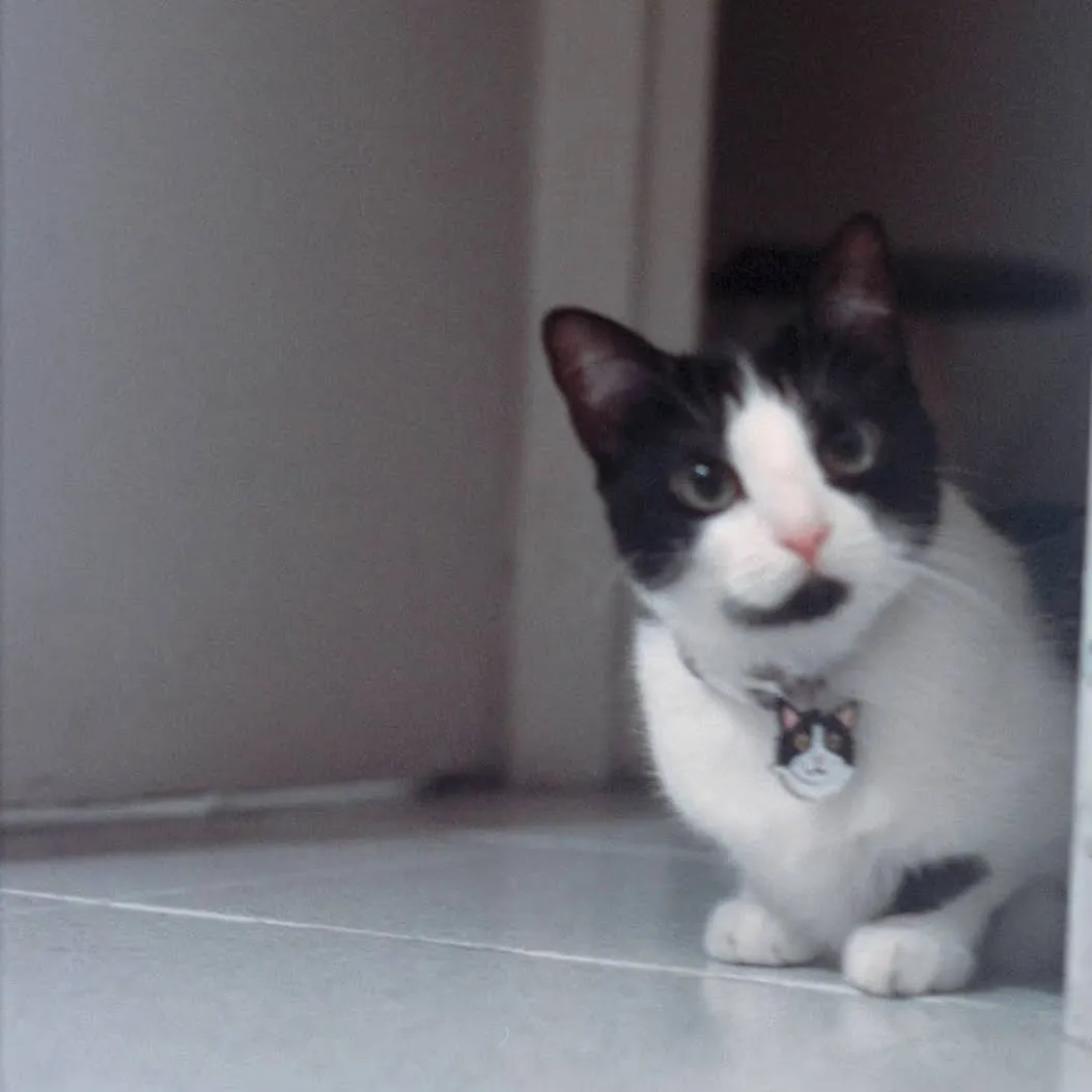 A photo from my collection