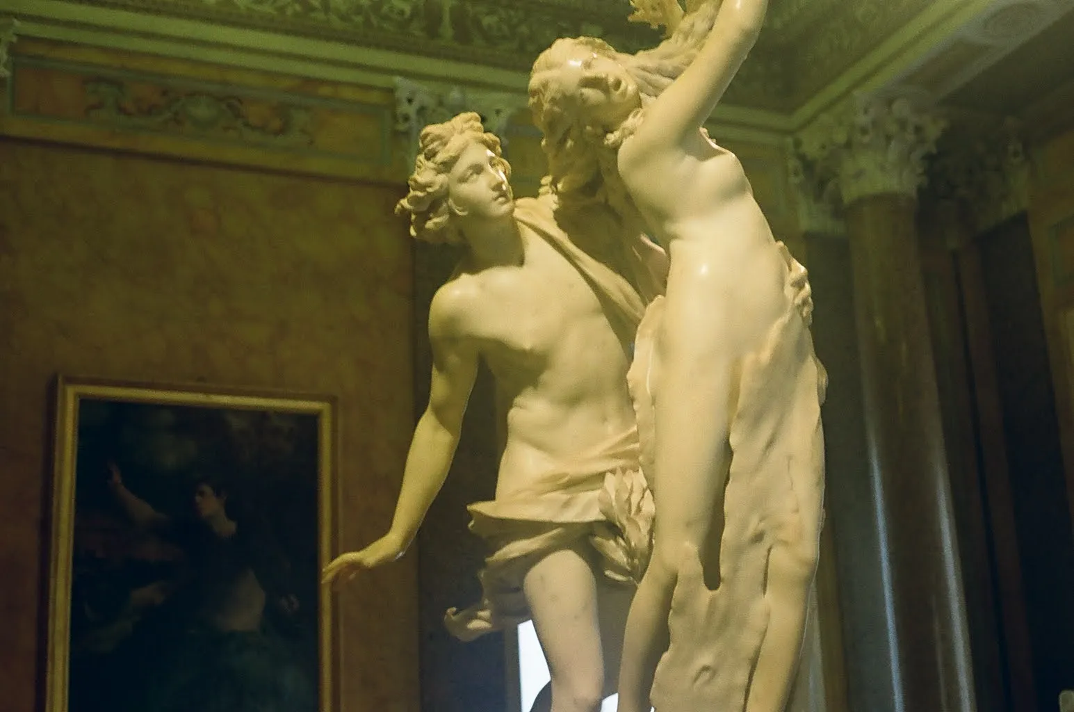 A photo from my collection