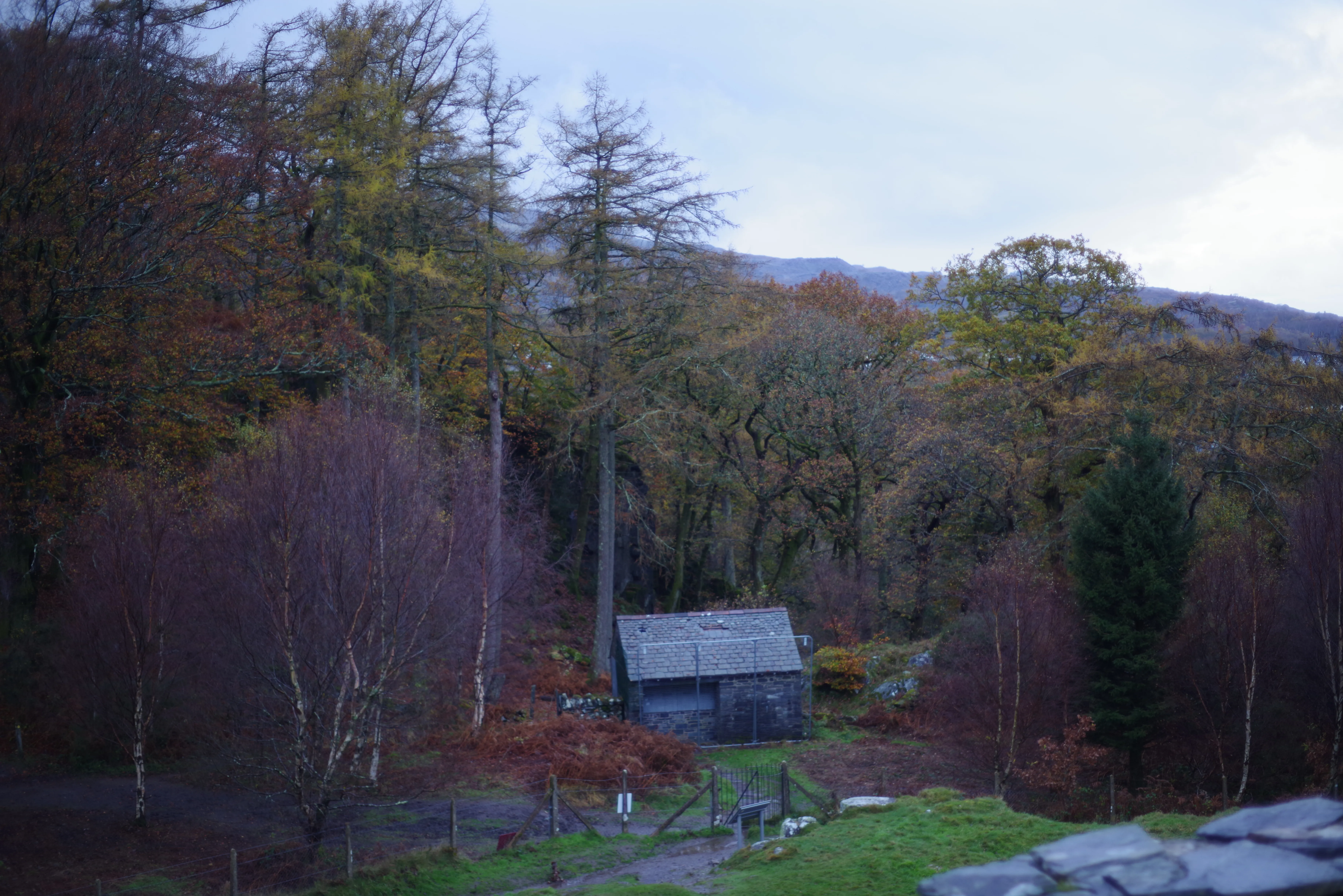 A photo from my collection