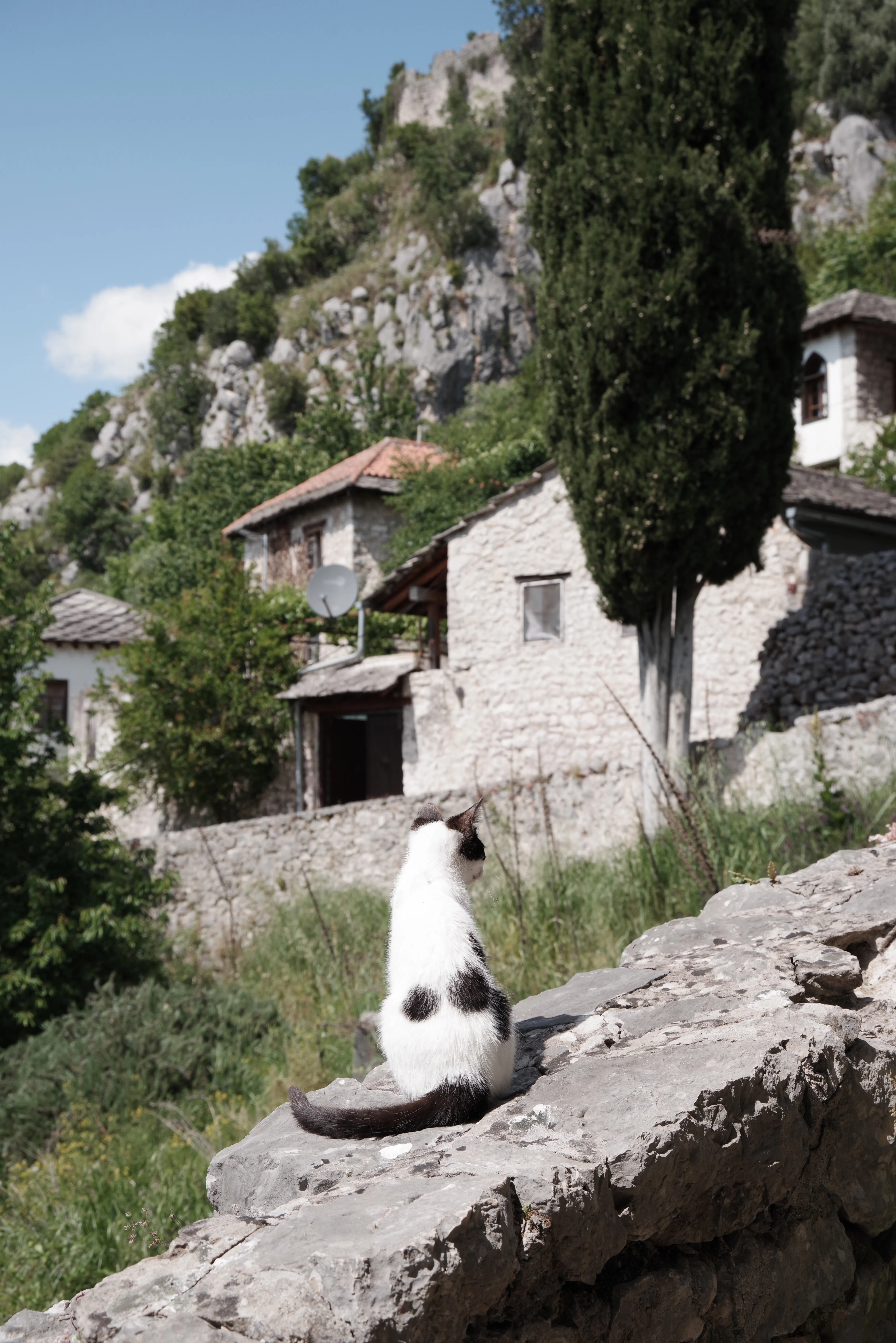 A photo from my collection