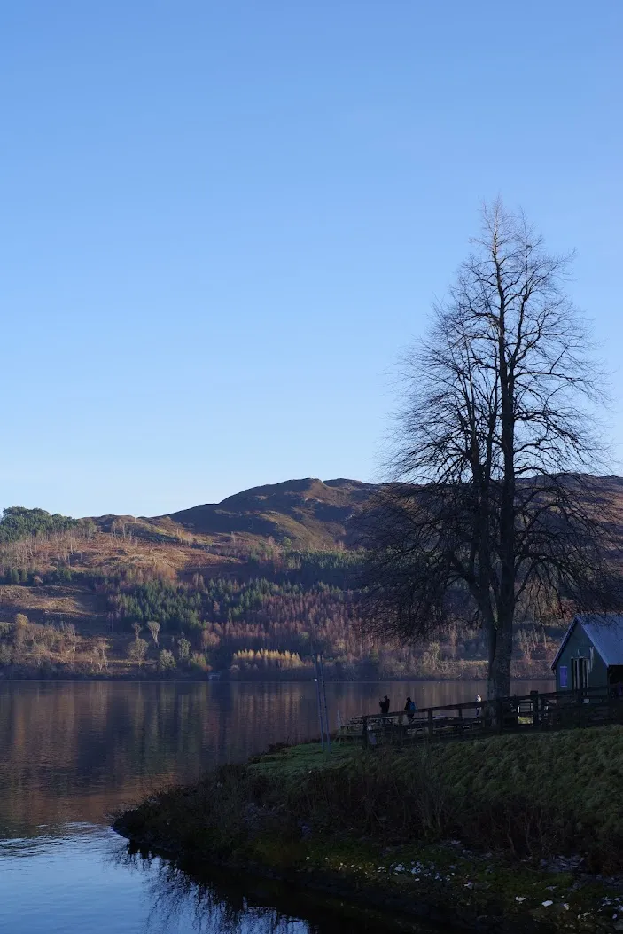 A photo from my collection