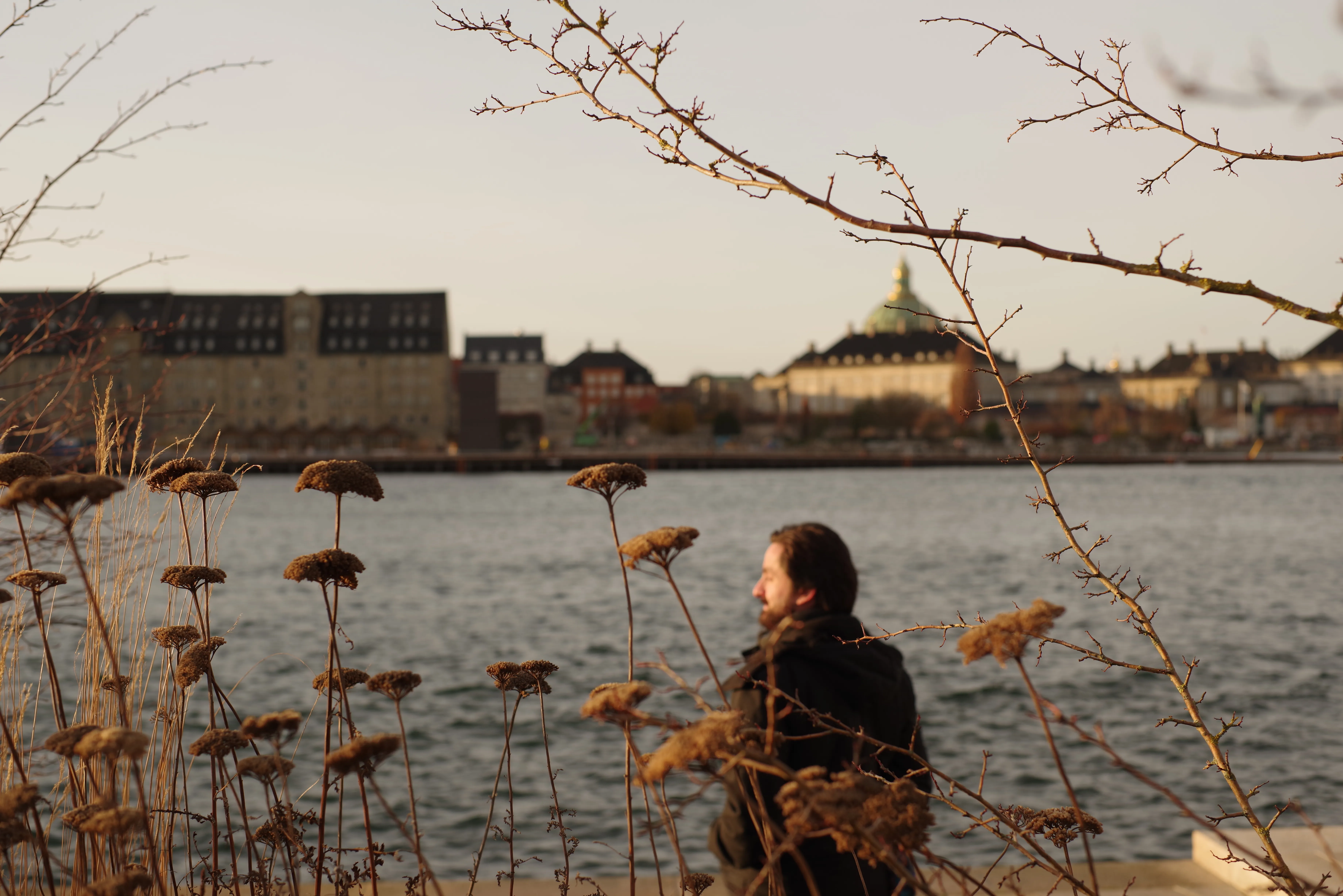 A photo from my collection