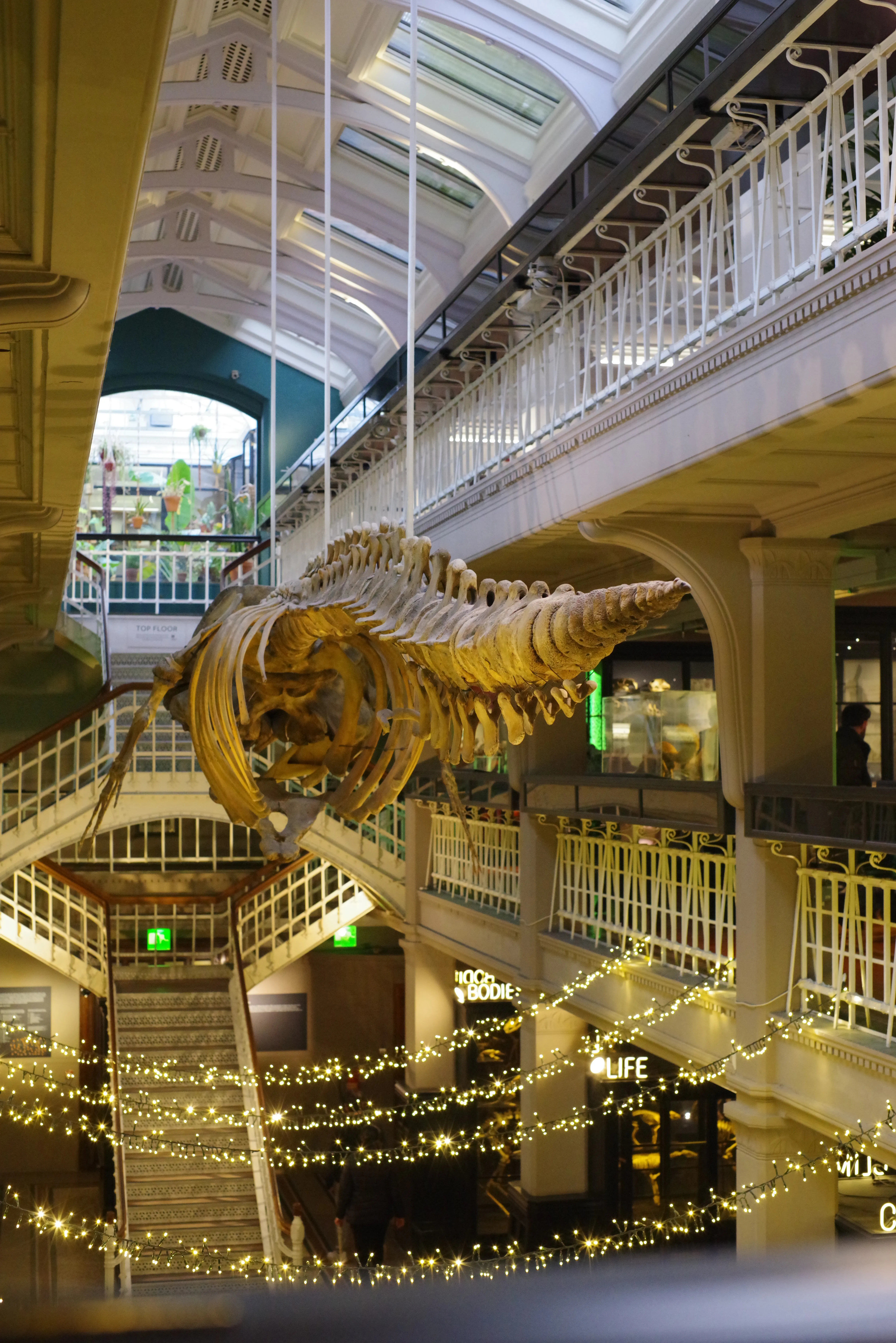 A photo from my collection