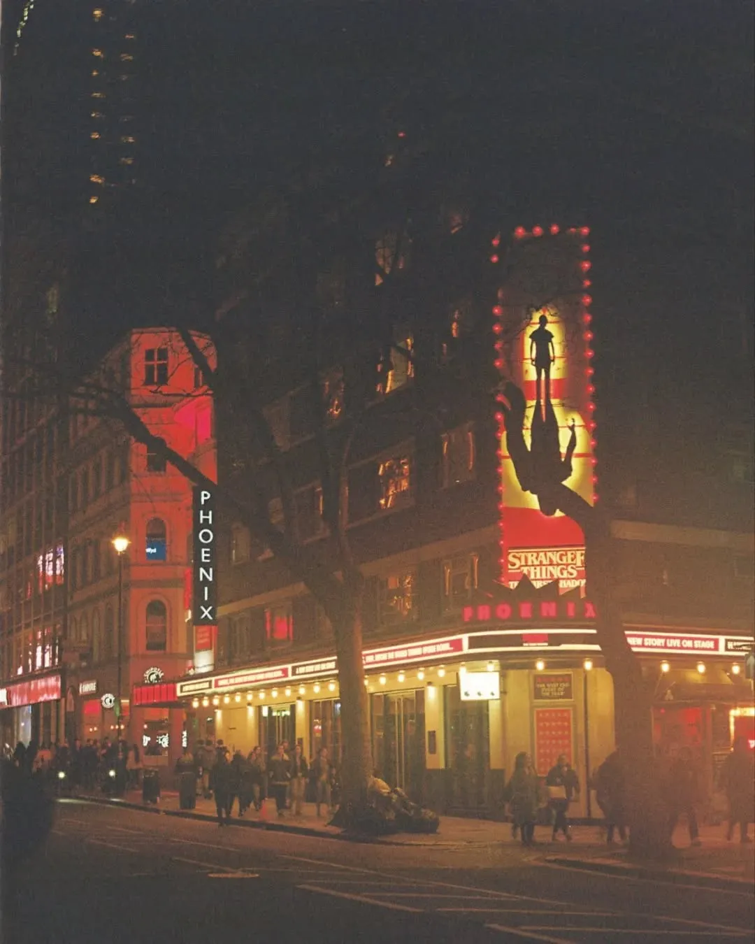 Photograph 14 from Ale's photography collection