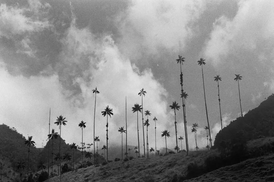 Photograph 15 from Ale's photography collection