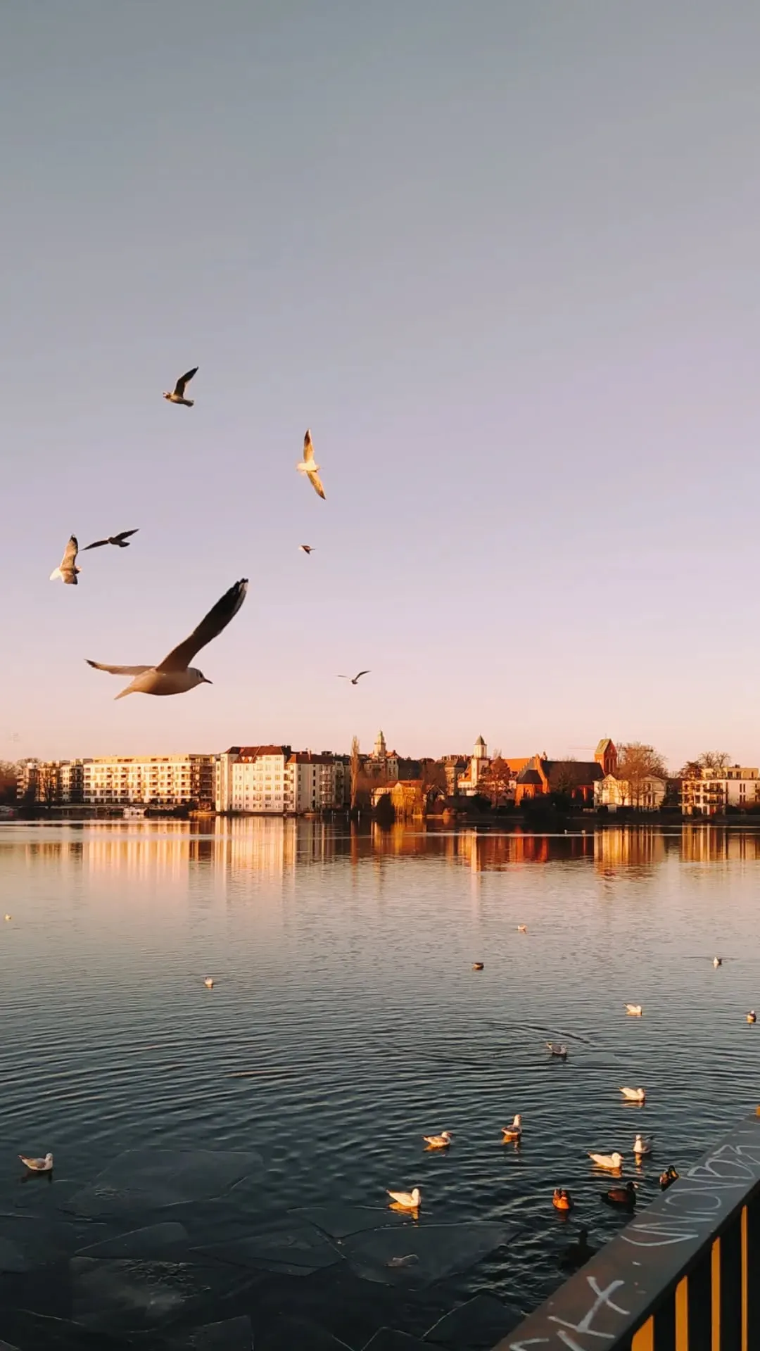 Photograph 29 from Ale's photography collection