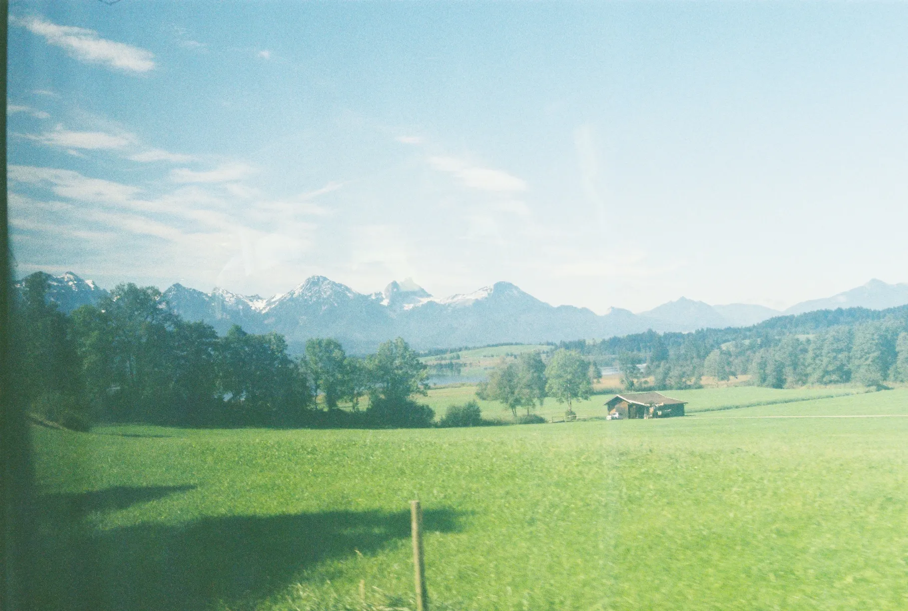 A photo from my collection